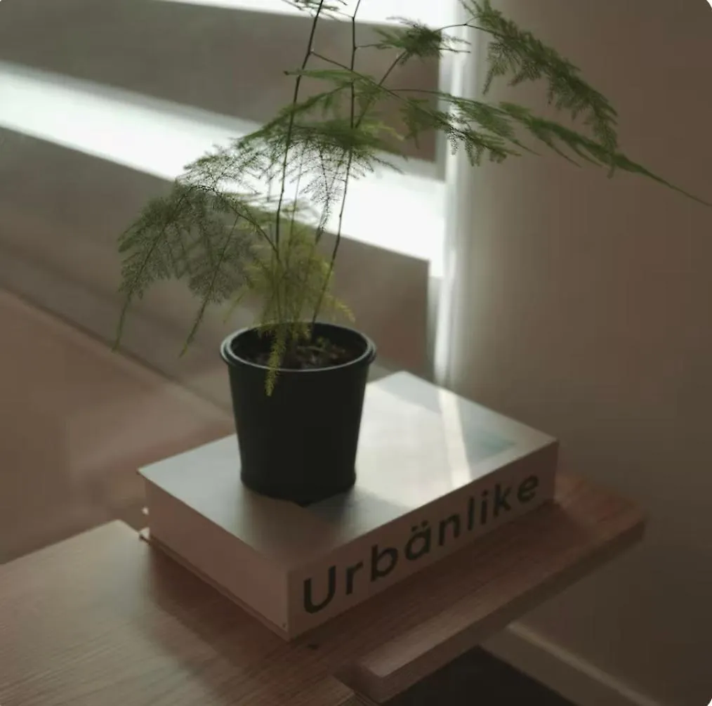 Appartement Seongsu 10 Minutes, K-Architectural Designers' Unique House à Séoul